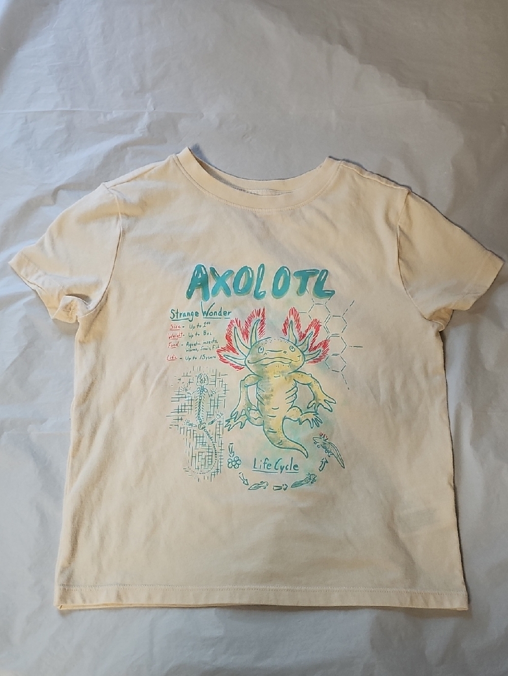 Cat & Jack Kids XS 4/5 AXOLOTL Graphic Short Sleeve Tee NWOT